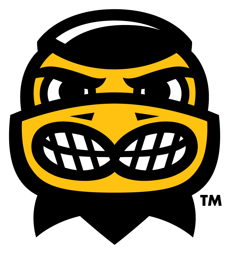 Iowa Hawkeyes 2013-Pres Mascot Logo v2 diy iron on heat transfer